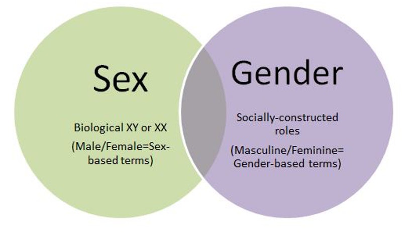 Cultural And Gender Differences In Gender